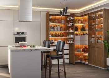 Kitchen Pantry Ideas: From Walk-In Rooms to Small Cabinet Solutions